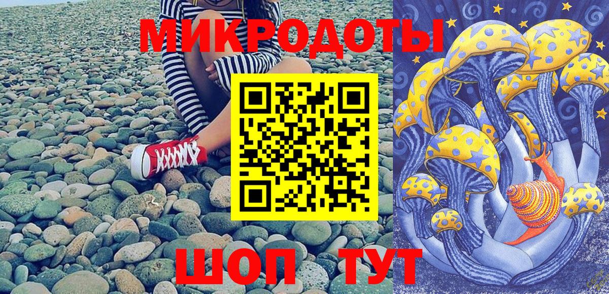 продажа наркотиков  Вход с VPN  Северск  Псилоцибиновые грибы мухоморы 